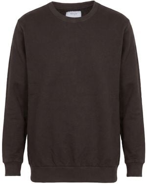 Crossley Sweatshirt - Gray