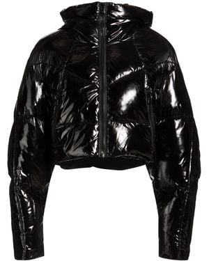 Canadian Puffers - Black