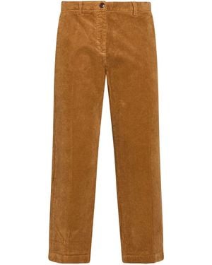 SKILLS & GENES Trouser - Brown
