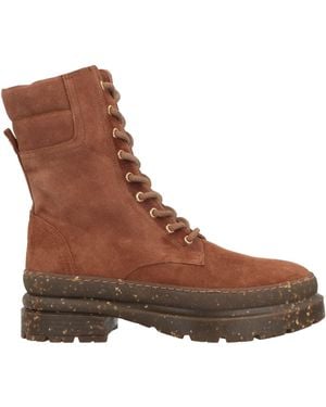 Baldinini Ankle Boots - Brown