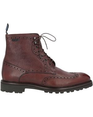 Floris Van Bommel Ankle Boots - Brown
