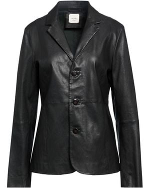 Alysi Americana - Negro