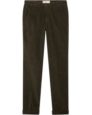 Briglia 1949 Trouser - Grey