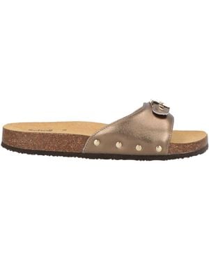 Scholl Sandals Leather - Multicolor
