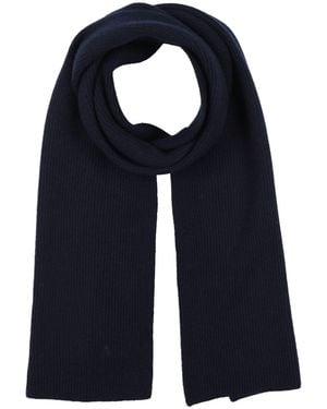Alpha Studio Scarf - Blue