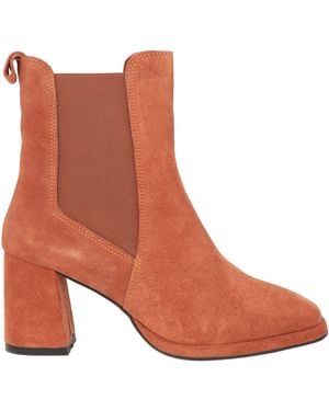 Tosca Blu Ankle Boots Leather - Brown