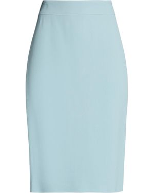 Emporio Armani Midi Skirts - Blue