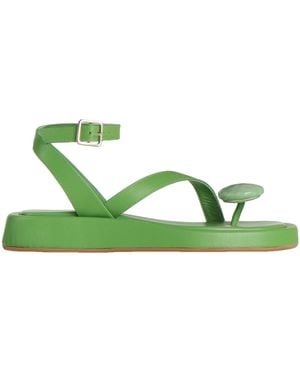 GIA RHW Thong Sandal - Green