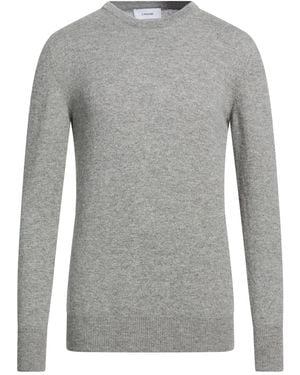 Lardini Sweater Cashmere - Gray