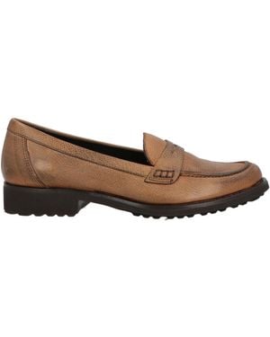 Calpierre Mocassins - Marron