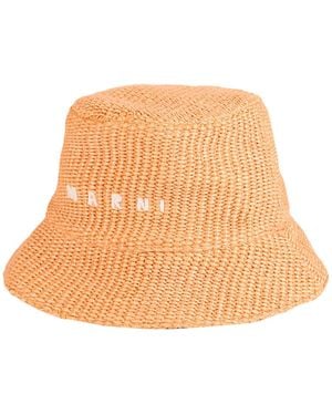 Marni Hat Cotton, Polyamide - Natural