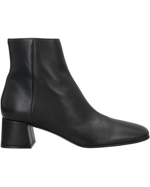 Sergio Rossi Ankle Boots - Black