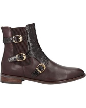 Pertini Botines de caña alta - Marrón