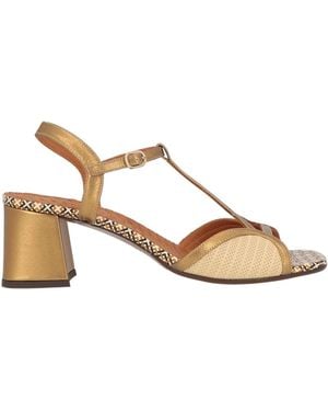 Chie Mihara Sandals - Natural