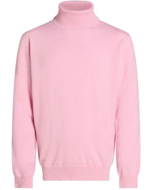 Kangra Turtleneck Wool, Cashmere - Pink