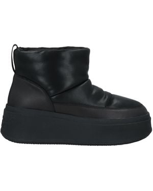 Ash Ankle Boots - Black