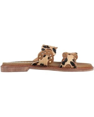 Divine Follie Sandals Leather - Brown
