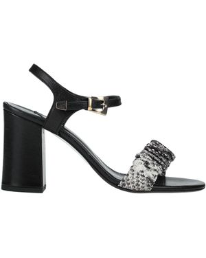 NCUB Sandals - Black