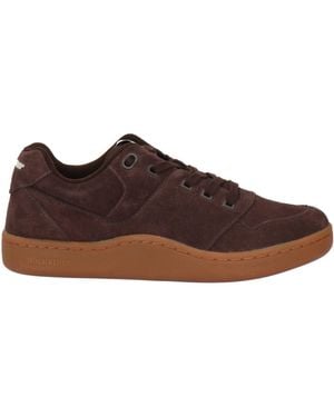 Sebago Sneakers - Marron