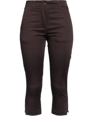 Alpha Studio Trouser - Brown