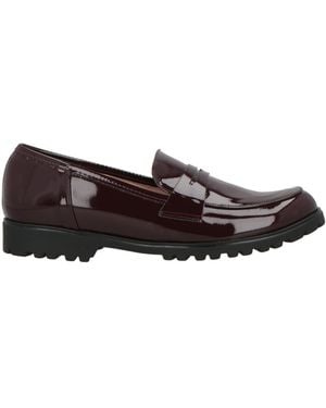 Marella Loafers - Brown