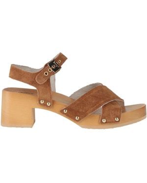Scholl Sandals - Brown