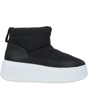 Ash Ankle Boots - Black