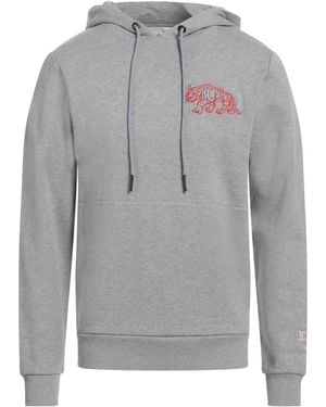 Iceberg Sweatshirt - Grey