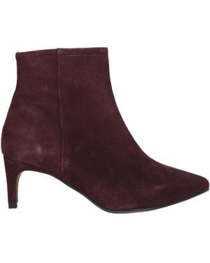 Xandres Ankle Boots - Purple