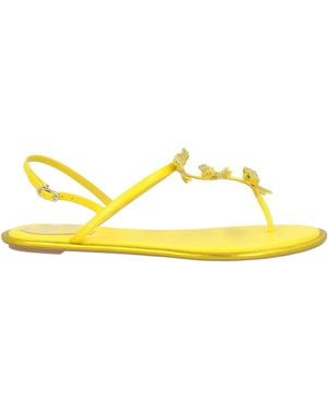 Rene Caovilla Thong Sandal - Yellow