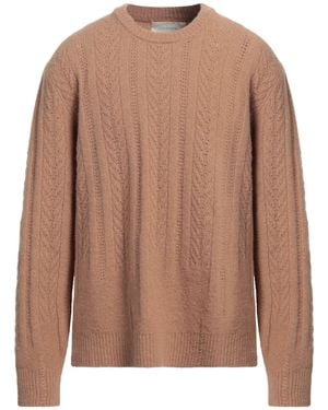 ANYLOVERS Pullover - Marrón