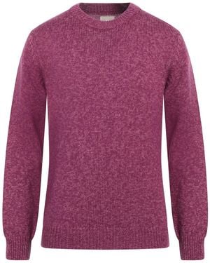 AT.P.CO Sweater - Purple