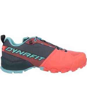 Dynafit Trainers - Blue