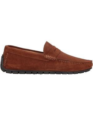 Roberto Botticelli Loafer - Brown