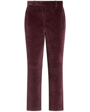 Circolo 1901 Pantalone - Viola