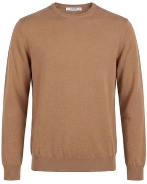 Kangra Camel Sweater Merino Wool - Brown