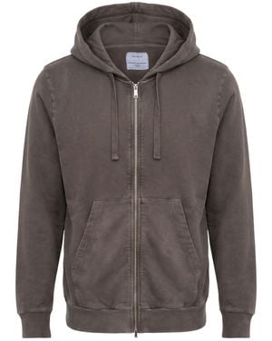 Crossley Sudadera - Gris