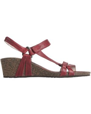 Teva Sandals Leather - Brown