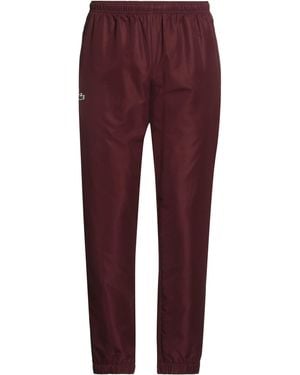 Lacoste Burgundy Pants Polyester - Purple