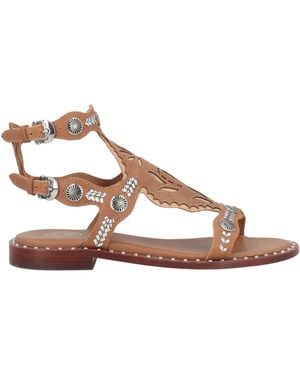 Ash Sandals - Brown