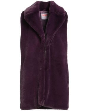 Sun 68 Shearling & Teddy - Purple