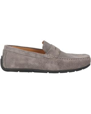 Cerruti 1881 Loafers Cow Leather - Grey