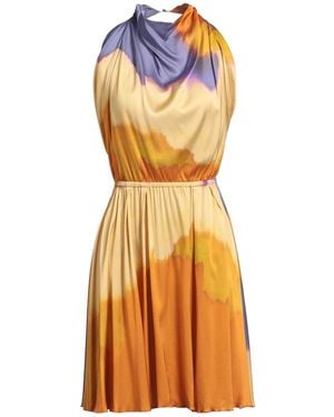 Nenette Midi Dress - Orange