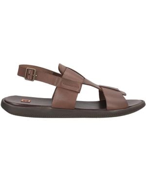 Moma Dark Sandals Calfskin - Brown