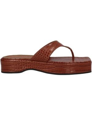 The Saddler Thong Sandal - Brown