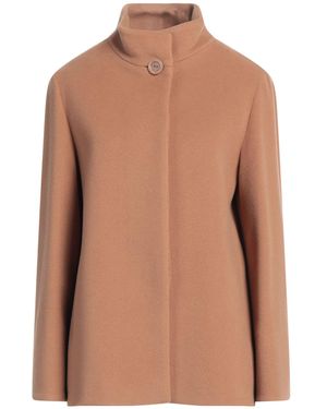 Cinzia Rocca Coat Wool, Polyamide, Cashmere - Brown