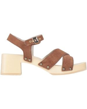 Scholl Mules & Clogs - Braun