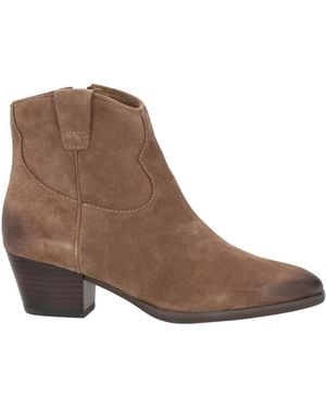 Ash Fame Khaki Ankle Boots Leather - Brown