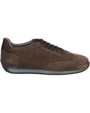 Pollini Dark Trainers Leather - Brown