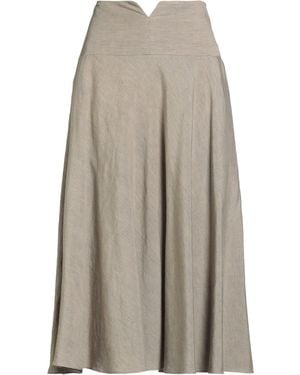 Rochas Midi Skirt Linen, Elastane - Gray